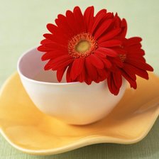 Схема вышивки «герберы»