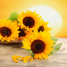 Схема вышивки «подсолнухи»