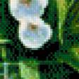 Предпросмотр схемы вышивки «белые цветы» (№653637)