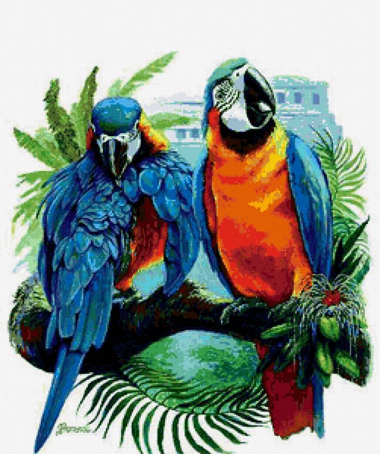 Попугаи - предпросмотр