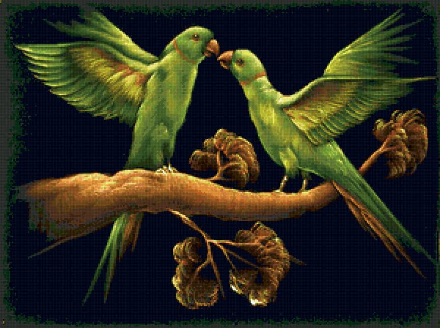 Попугаи-2 - предпросмотр