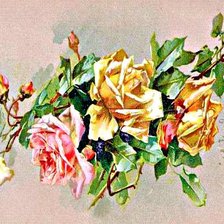 Схема вышивки «розы»