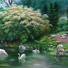 Схема вышивки «2062»