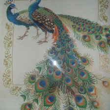 Схема вышивки «павлины»