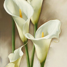 Схема вышивки «Каллы»