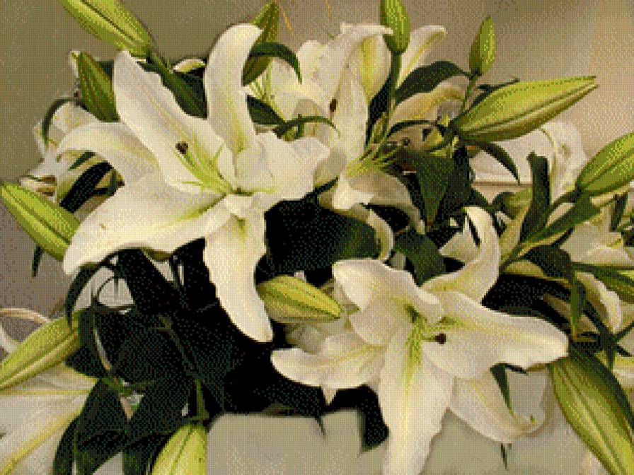 ЛІЛІЇ - квіти - предпросмотр