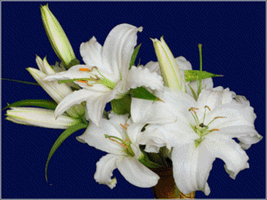 ЛІЛІЇ - квіти - предпросмотр