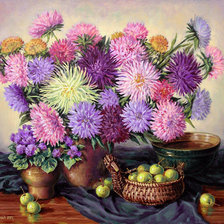 Схема вышивки «астры»