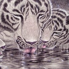 Картина Кентаро Нишино