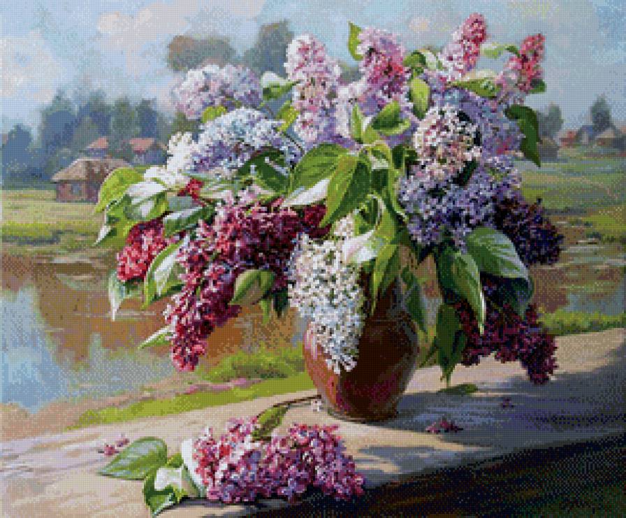 сирень - предпросмотр