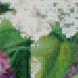 Предпросмотр схемы вышивки «сирень» (№654881)