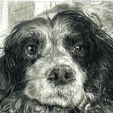 Схема вышивки «Охраняю твои сны»