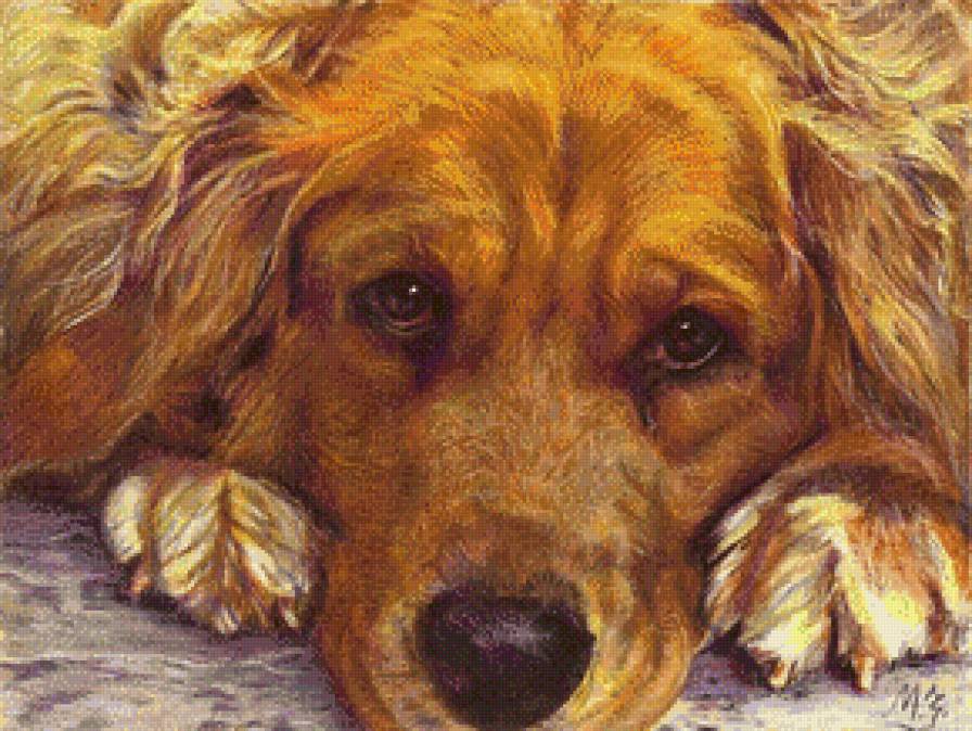 Соскучился - соскучился, рыжий, собака - предпросмотр