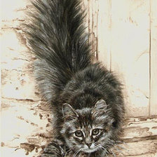 Схема вышивки «Котенок»