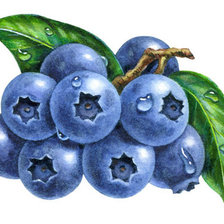 Схема вышивки «№655069»