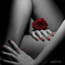 Схема вышивки «№655148»