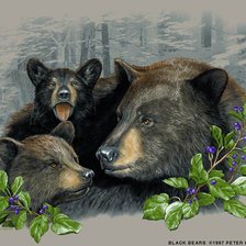 Схема вышивки «2095»