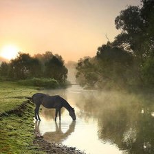 Схема вышивки «природа»