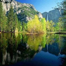 Схема вышивки «природа»