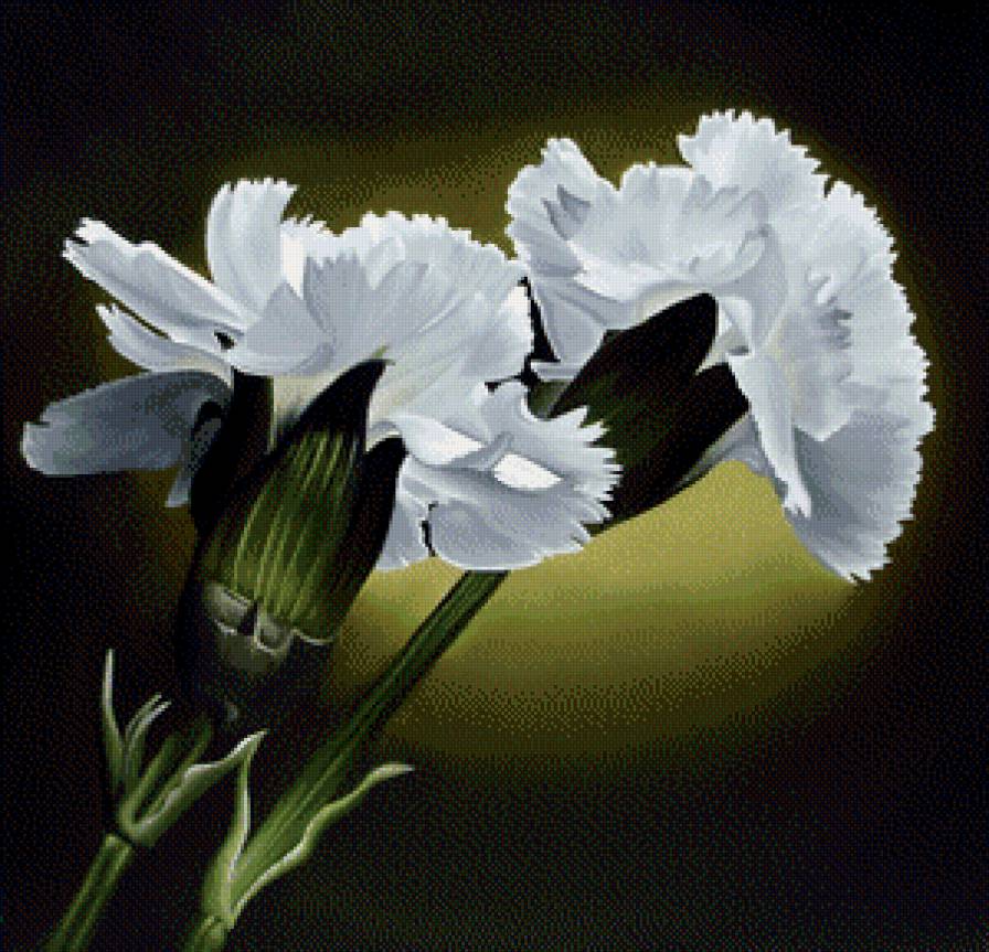 картина - цветы.букет, красота - предпросмотр