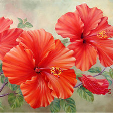 Схема вышивки «цветы»