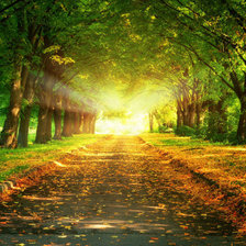 Схема вышивки «.»