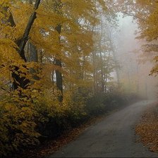 Схема вышивки «аллея»