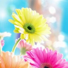 Схема вышивки «цветы»