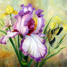 Схема вышивки «ирис и бабочка»