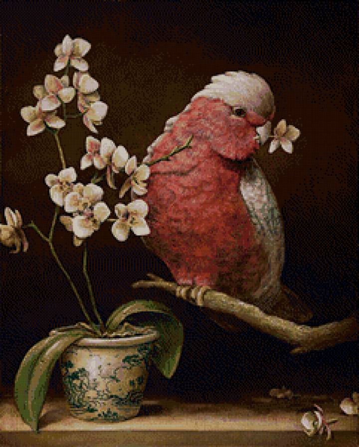 по картине Кевина Слоана - попугай, цветок, живопись, кевин слоан - предпросмотр