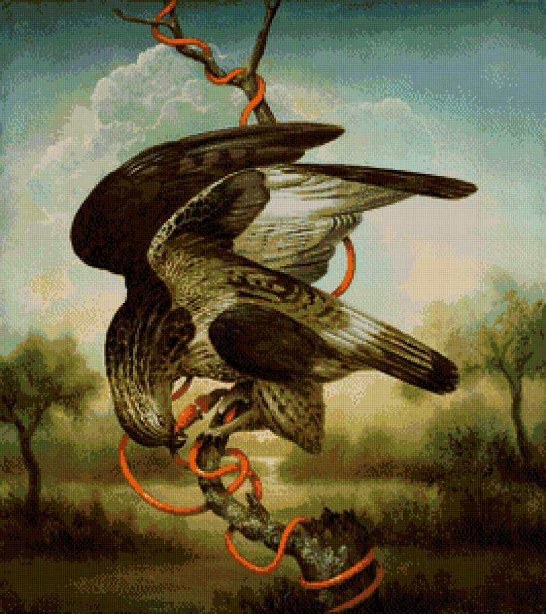 сокол (по картине Кевина Слоана) - птица, живопись, картина, сокол, кевин слоан - предпросмотр