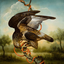 Схема вышивки «сокол (по картине Кевина Слоана)»