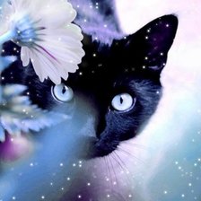 Схема вышивки «черный кот»