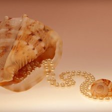 Схема вышивки «Ракушки»