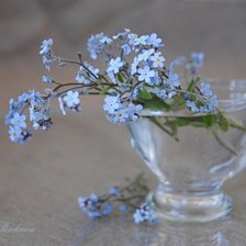 Схема вышивки «натюрморт»