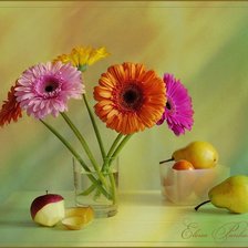 Схема вышивки «герберы»