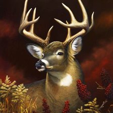 Схема вышивки «№656406»