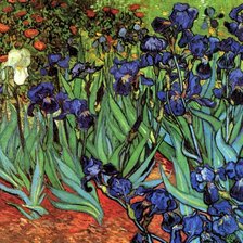 Цветущие ирисы (Ван Гог)