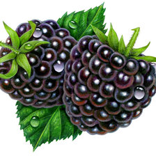 Схема вышивки «№656463»