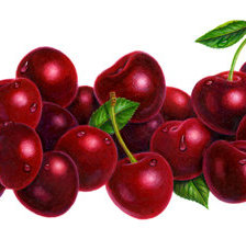 Схема вышивки «№656466»