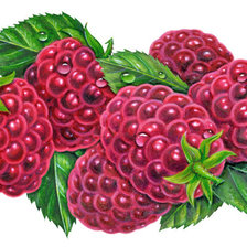 Схема вышивки «№656469»