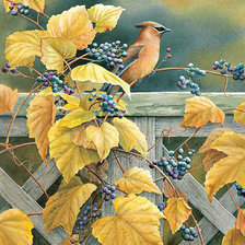 Схема вышивки «2115»