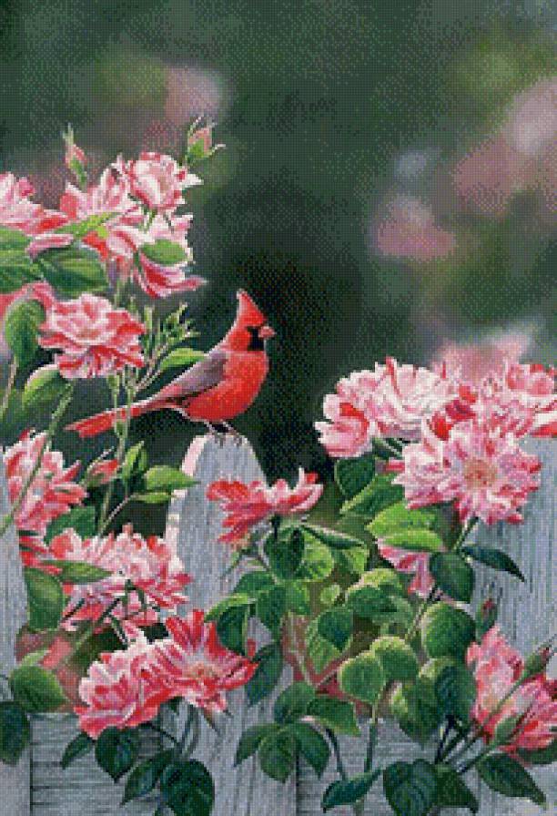 2116 - предпросмотр