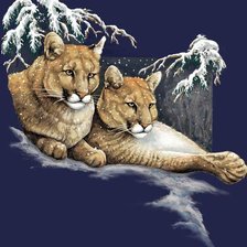 Схема вышивки «2117»