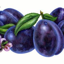 Схема вышивки «№657189»