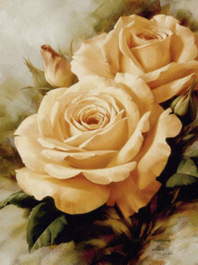 розы - предпросмотр