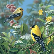 Схема вышивки «2124»