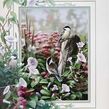 Схема вышивки «птицы»