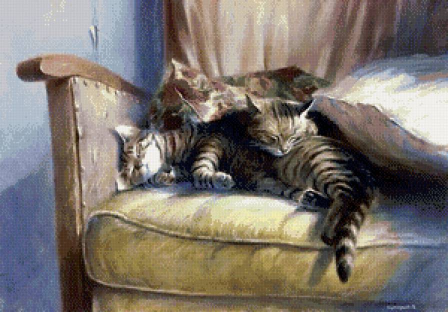 Сон - кошки, животные - предпросмотр