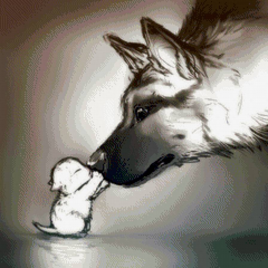 Дружба - котенок, животные, собака - предпросмотр